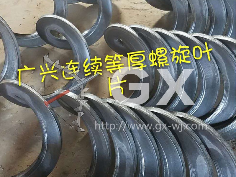 �����Ⱥ�ҶƬ